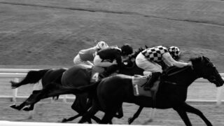 a group of people riding on the backs of horses