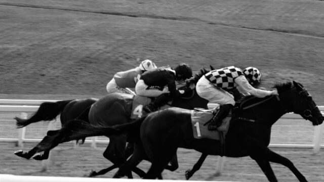 a group of people riding on the backs of horses